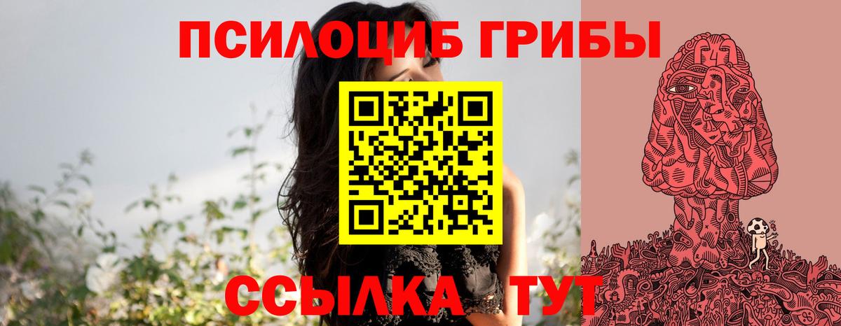Тельмана  Галлюциногенные грибы прущие грибы  Вход с VPN  где продают наркотики  Псилоцибиновые грибы MAGIC MUSHROOMS 